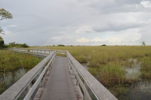 hikingtrails door de Everglades | Florida City